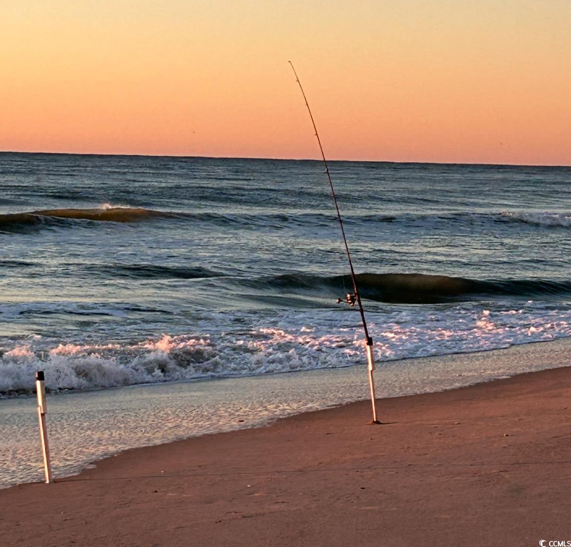 2311 South Ocean Boulevard, Unit 430 Myrtle Beach, SC 29577 - Photo 5 of 37