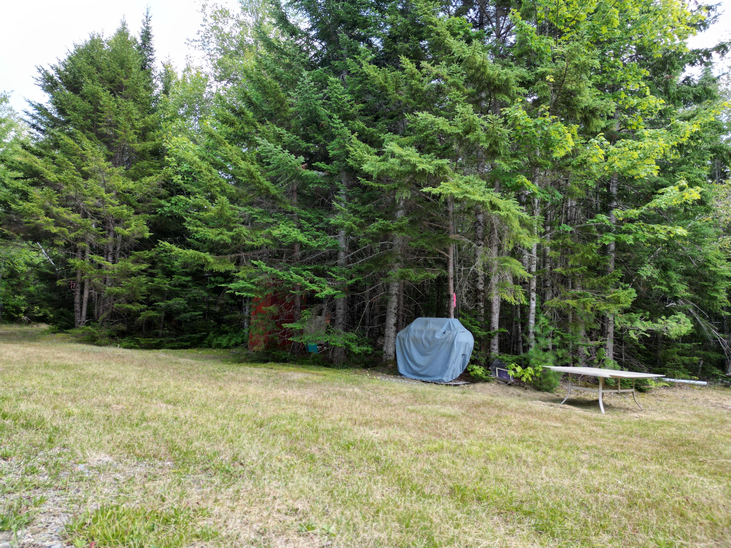 514 Independence Circle Springfield, ME 04487 - Photo 24 of 38 DJI_0276