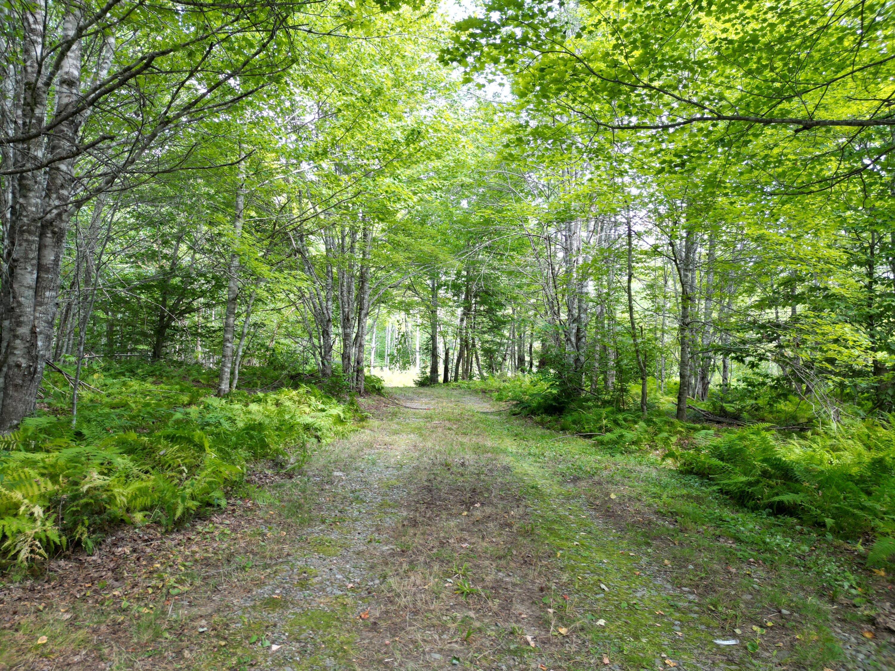 514 Independence Circle Springfield, ME 04487 - Photo 25 of 38 DJI_0289