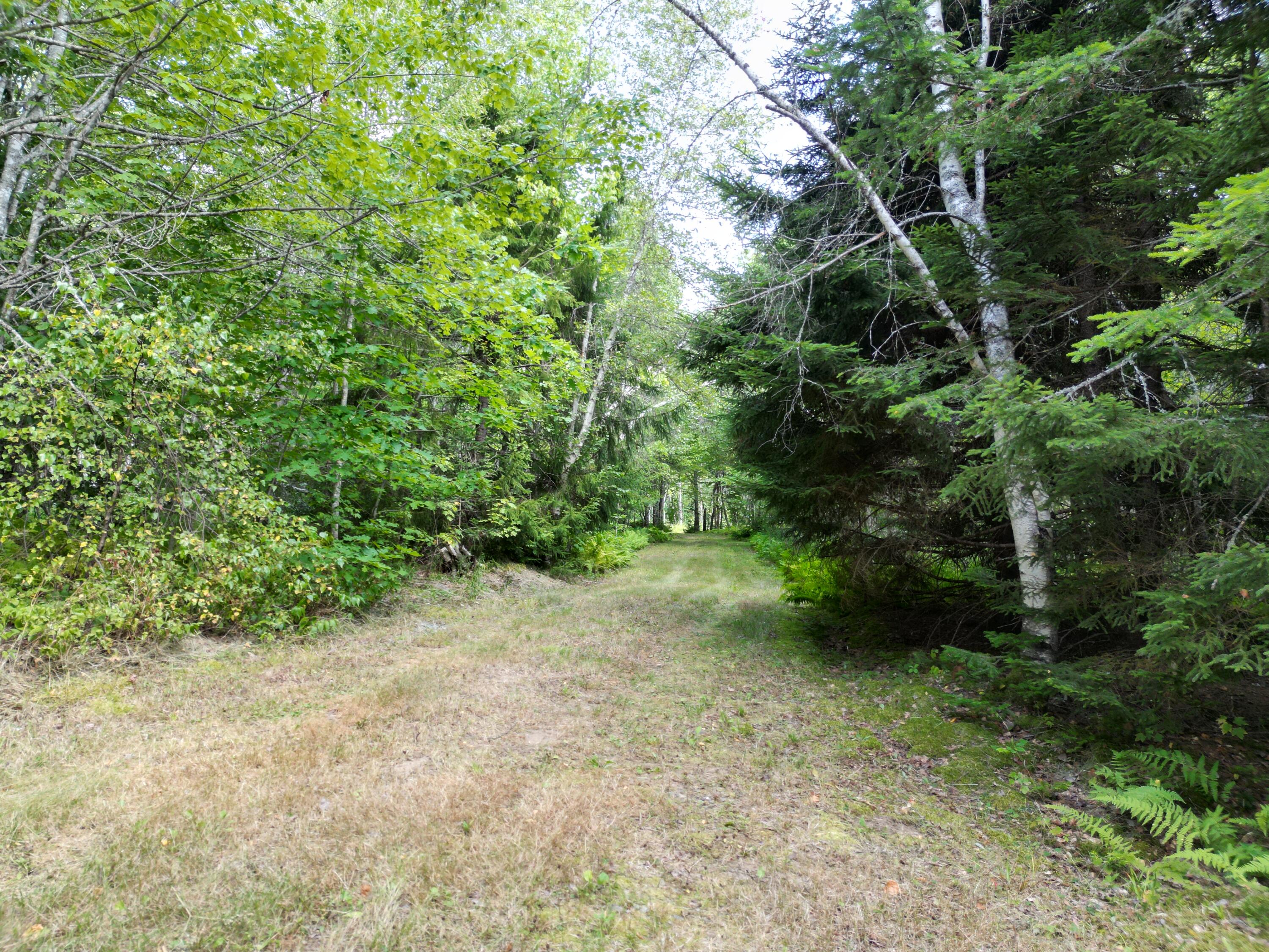 514 Independence Circle Springfield, ME 04487 - Photo 34 of 38 DJI_0288