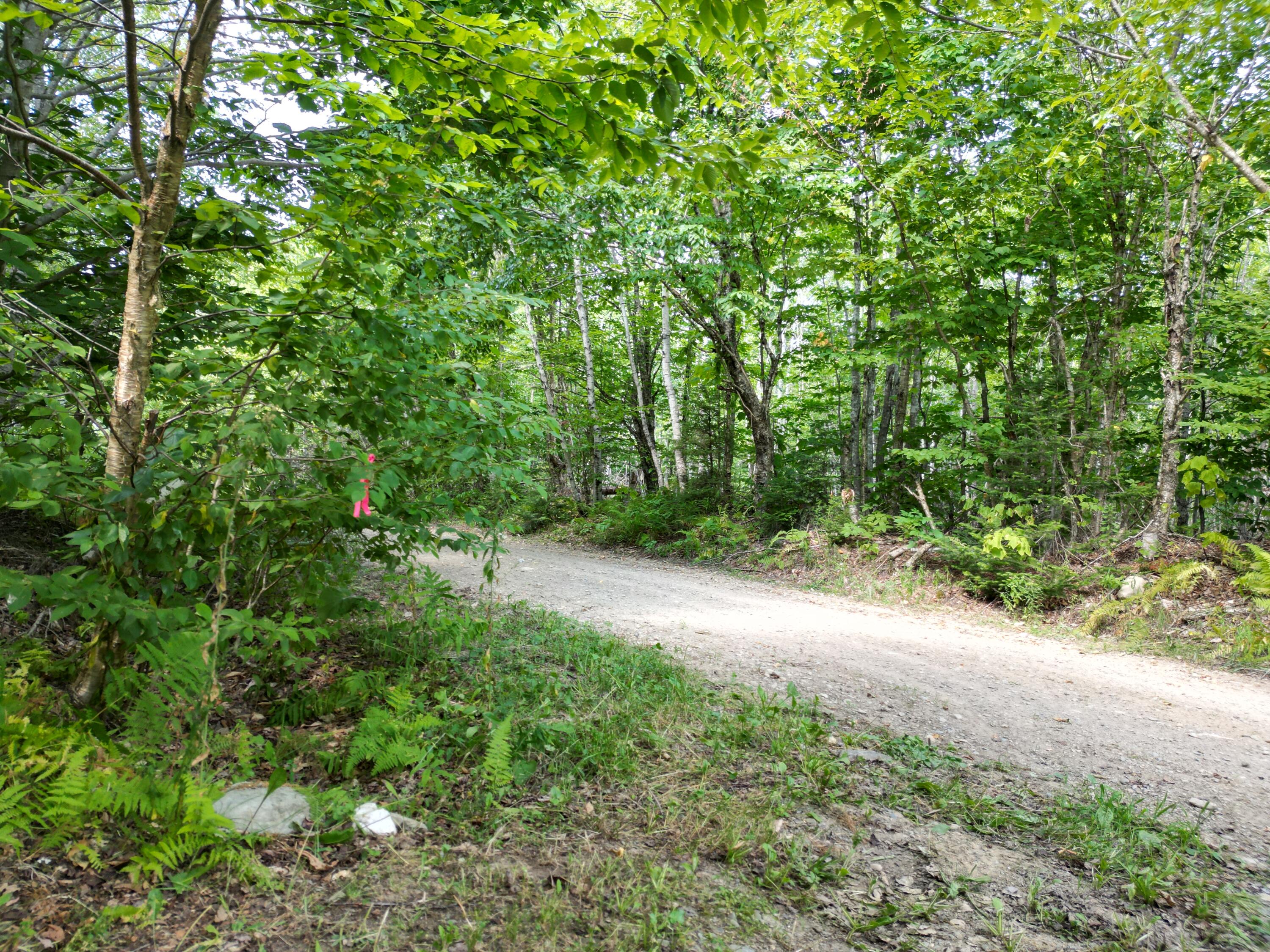 514 Independence Circle Springfield, ME 04487 - Photo 36 of 38 DJI_0291