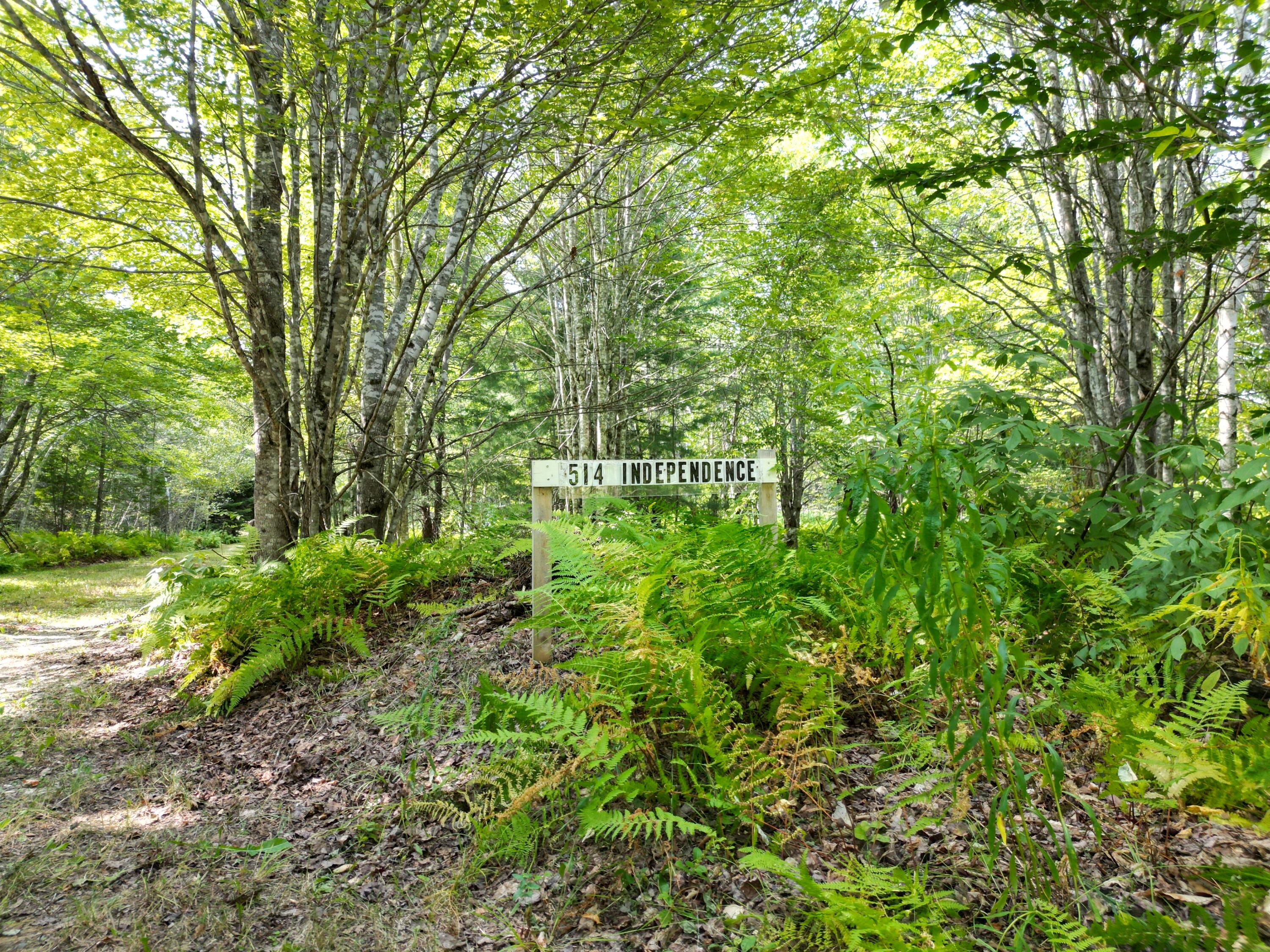 514 Independence Circle Springfield, ME 04487 - Photo 4 of 38 DJI_0293