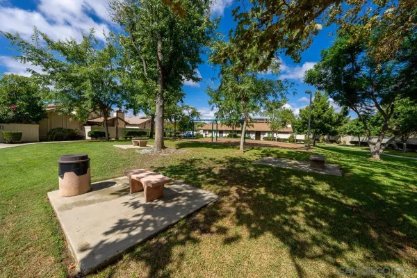 a view of a park with large trees