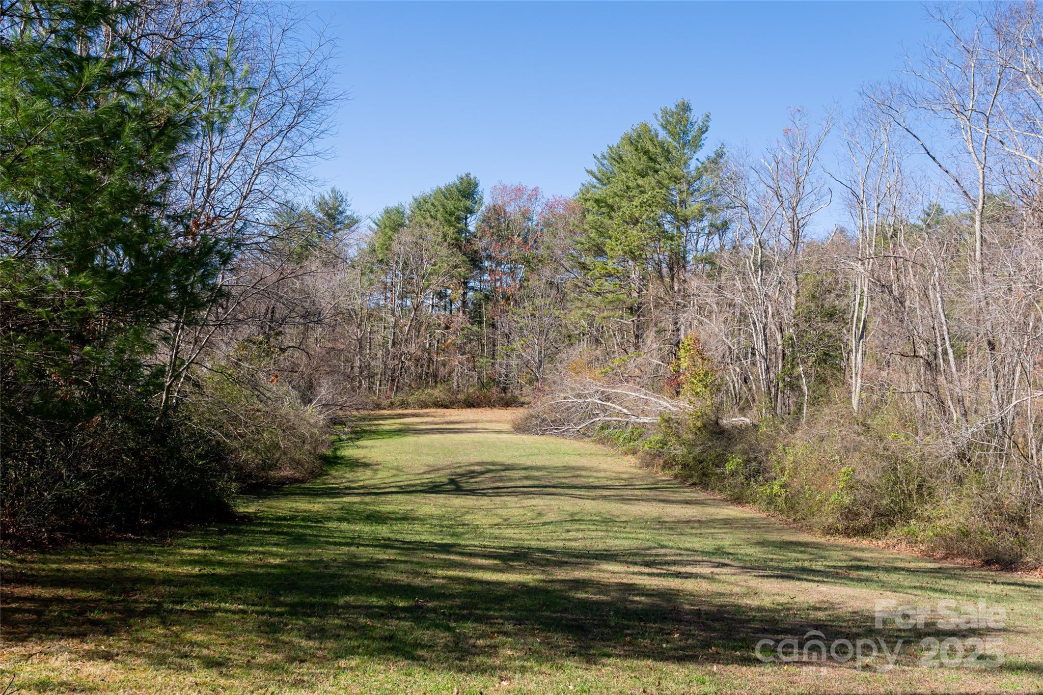 261 Lower Christ School Road Arden, NC 28704 - Photo 36 of 48 Gallery Image 36
