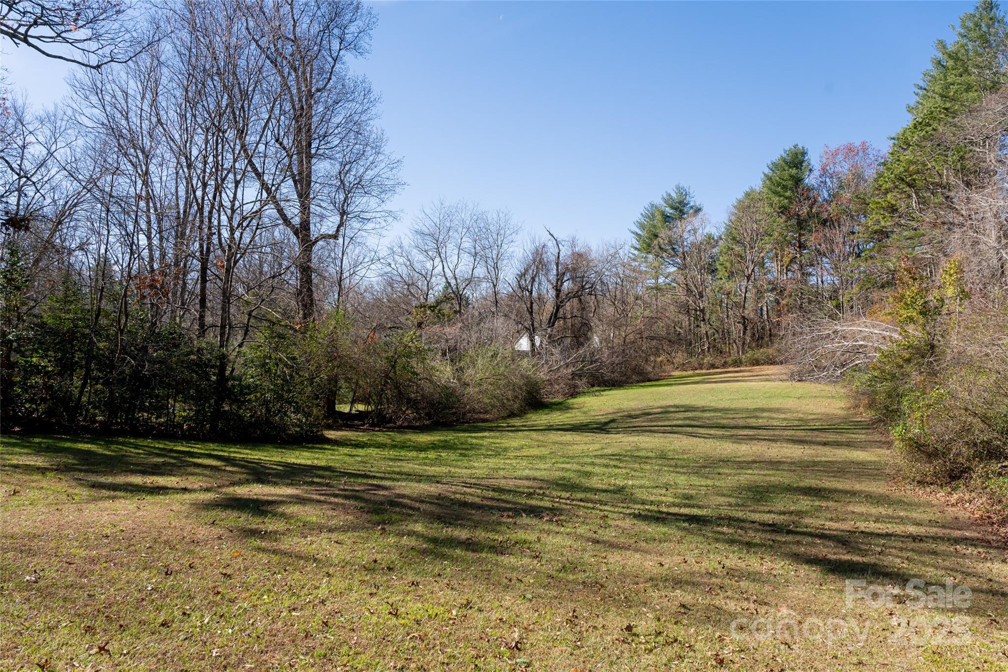 261 Lower Christ School Road Arden, NC 28704 - Photo 38 of 48 Gallery Image 38