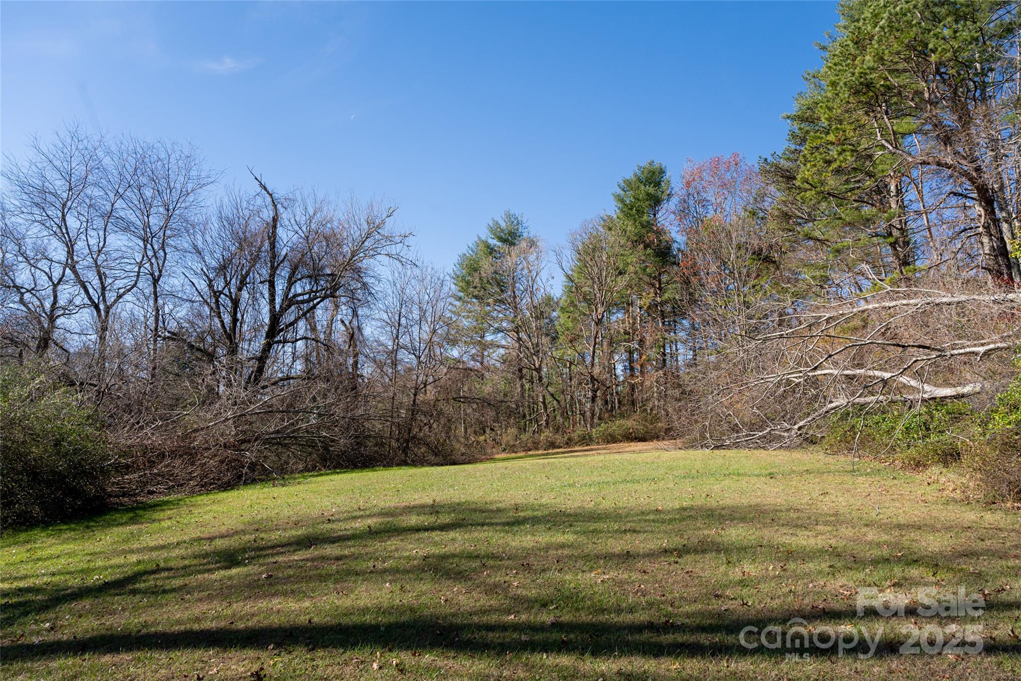 261 Lower Christ School Road Arden, NC 28704 - Photo 39 of 48 Gallery Image 39