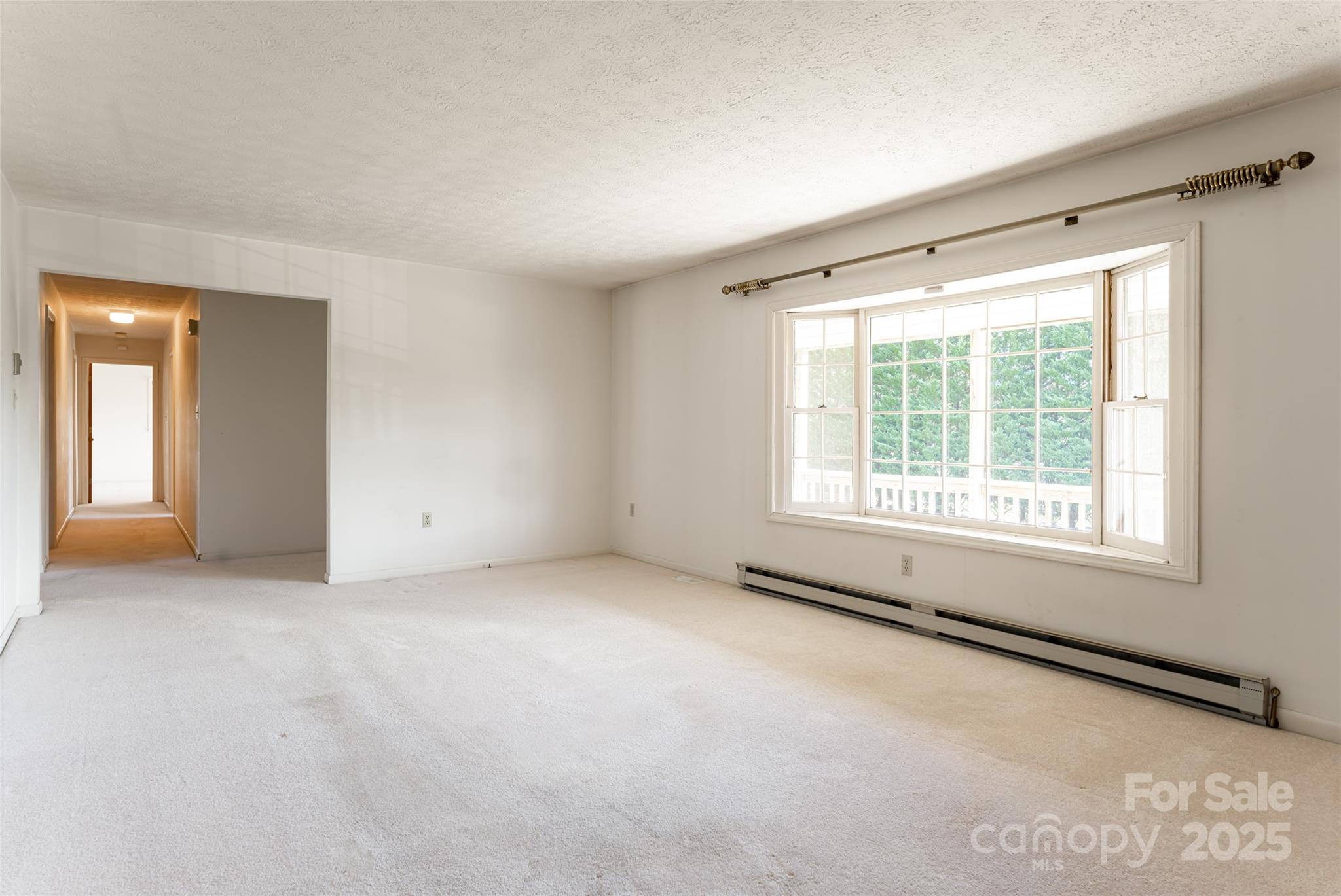 261 Lower Christ School Road Arden, NC 28704 - Photo 8 of 48 Gallery Image 8