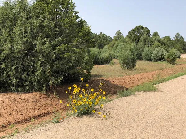 $110,000 | 0 Silver Feather Trail, Pecos, NM 87552