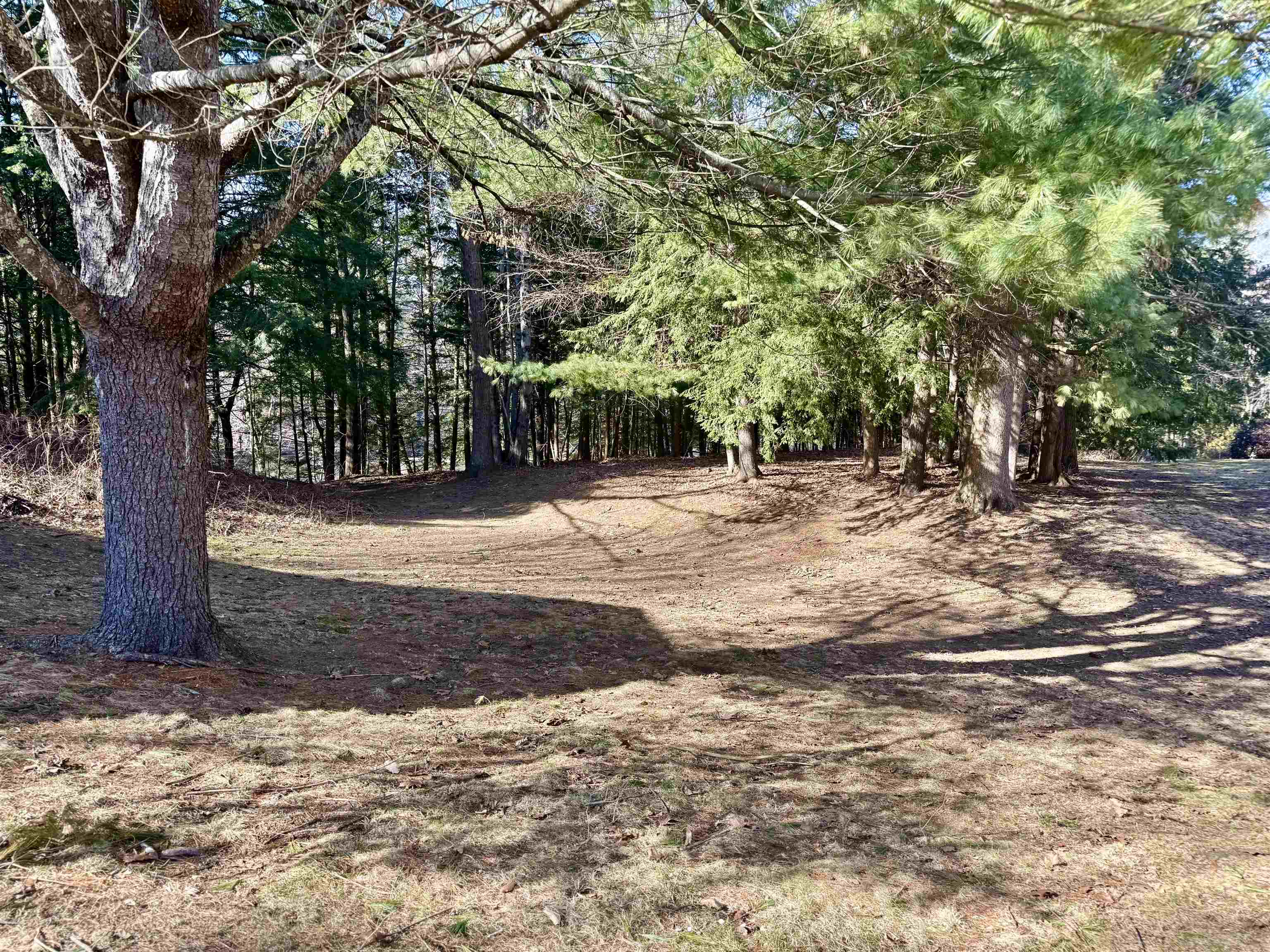 8 Whittaker Circle Concord, NH 03303 - Photo 6 of 28