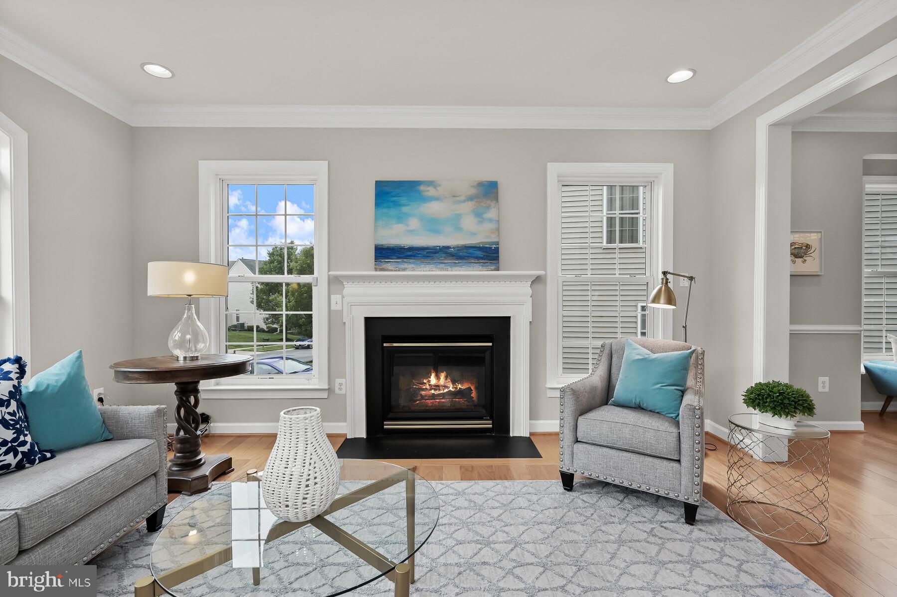 8013 High Castle Road Ellicott City, MD 21043 - Photo 3 of 49 Living room gas fireplace