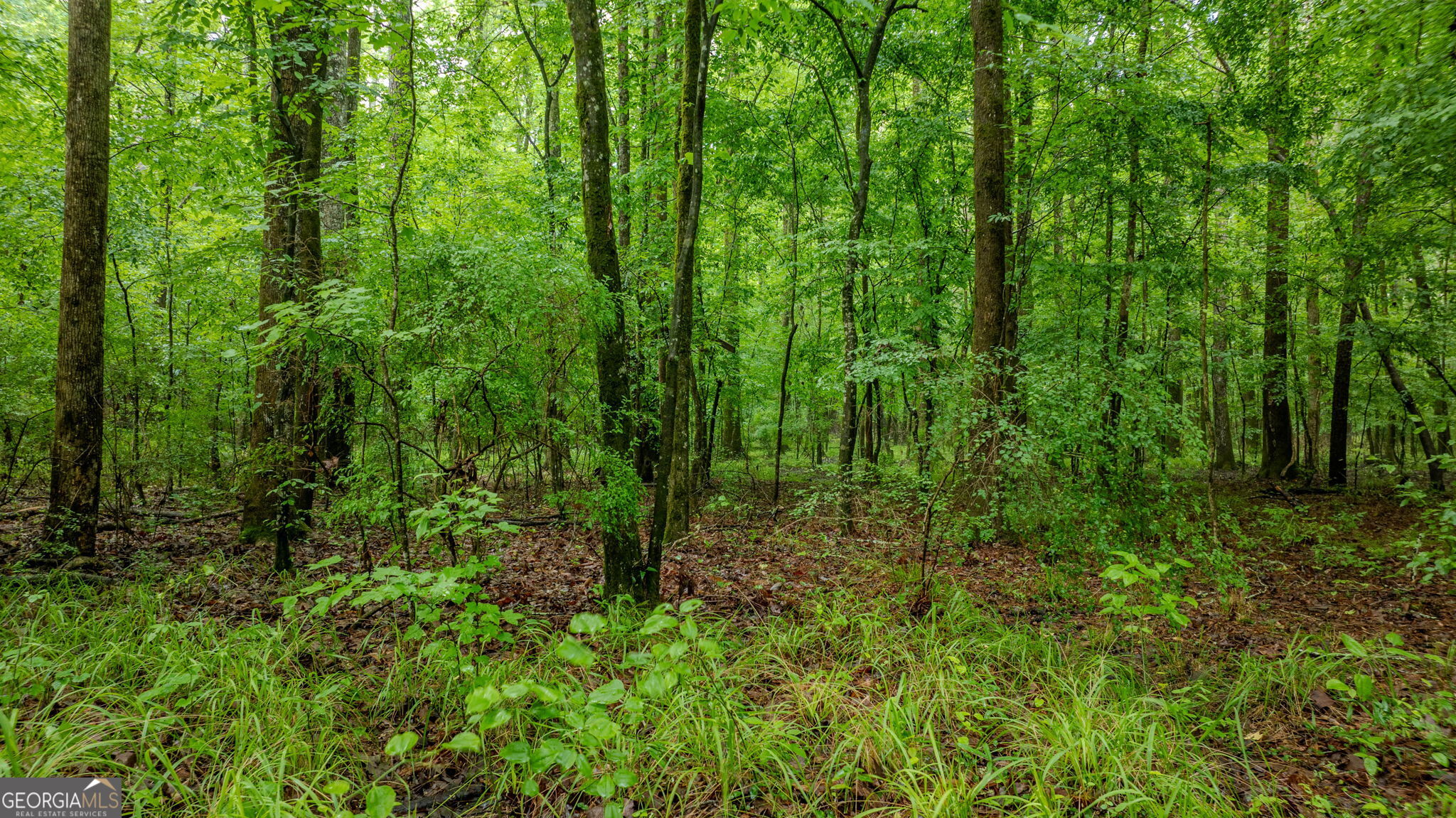 699 Bankstown Road Brooks, GA 30205 - Photo 107 of 122