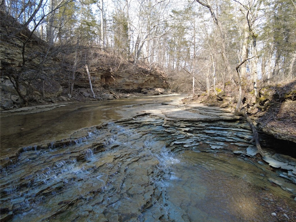 1897 Chestnut Ridge Road West Union, OH 45693 - Photo 20 of 61