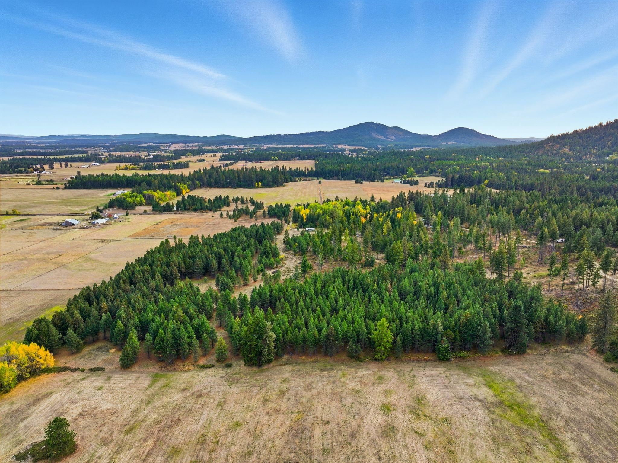 4710 B Price Road Clayton, WA 99110 - Photo 4 of 39 Gallery Image 4