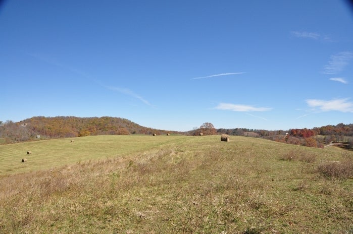 101 Grassy Meadows Road Alderson, WV 24910 - Photo 24 of 40 Grassy Meadows Farm - Tour 12