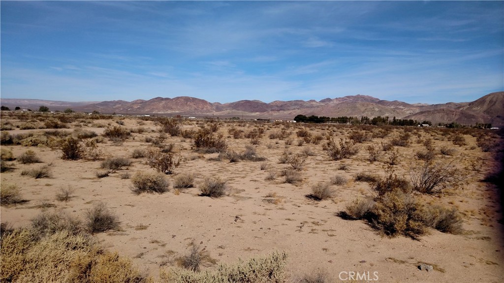 37265 Yermo Road Yermo, CA 92398 - Photo 6 of 12