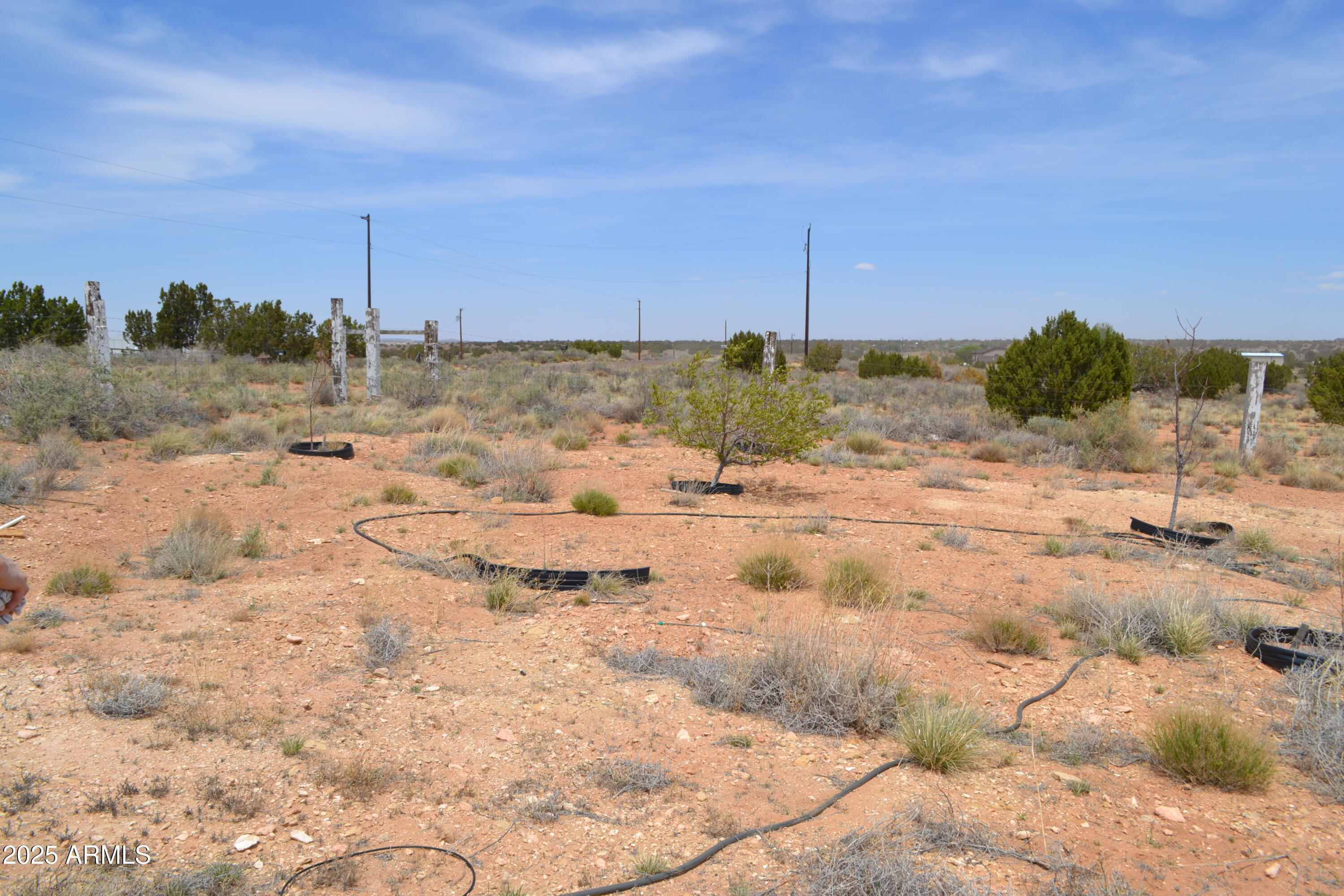 2743 Old Woodruff Road Snowflake, AZ 85937 - Photo 40 of 49 DSC_1242