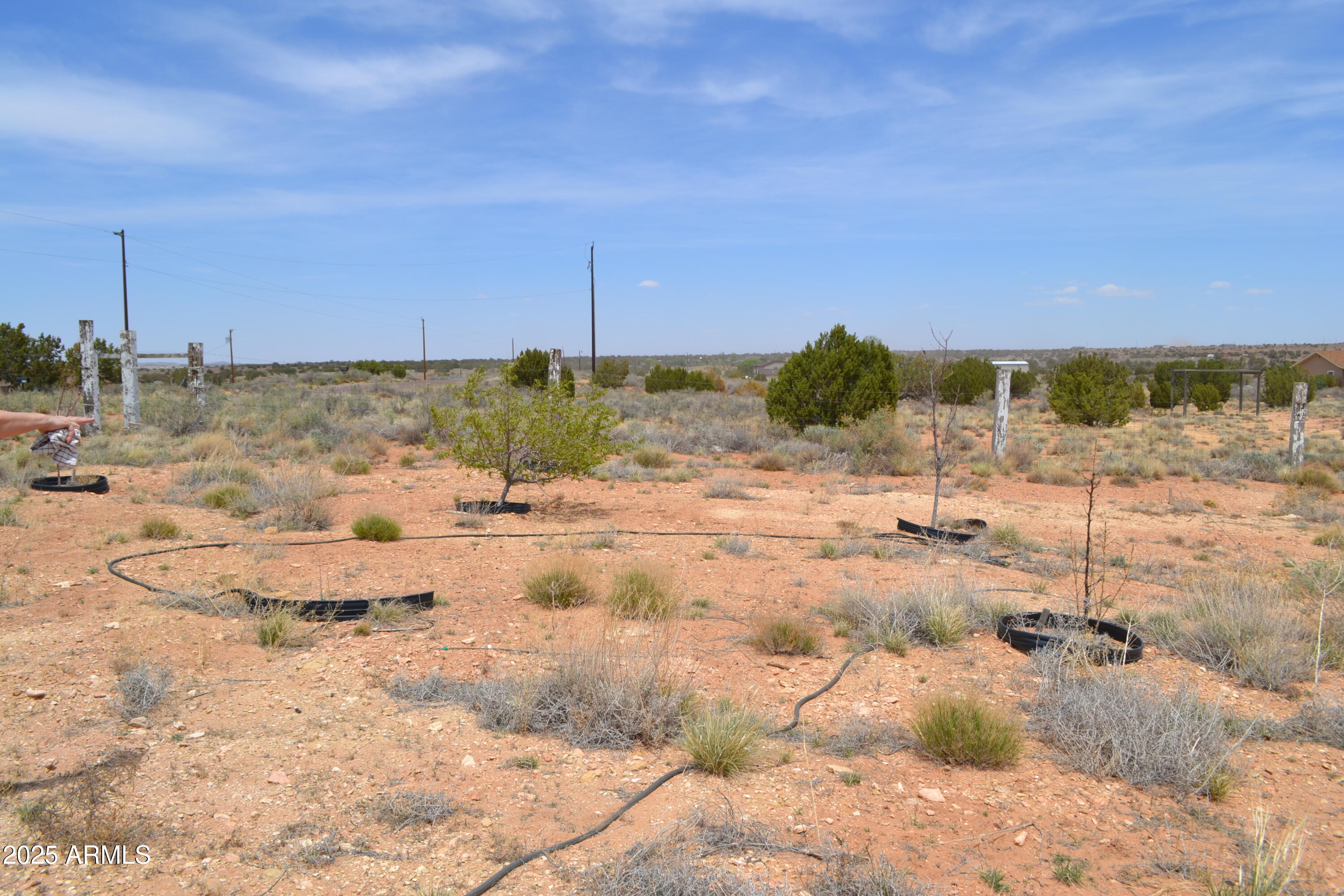 2743 Old Woodruff Road Snowflake, AZ 85937 - Photo 41 of 49 DSC_1243