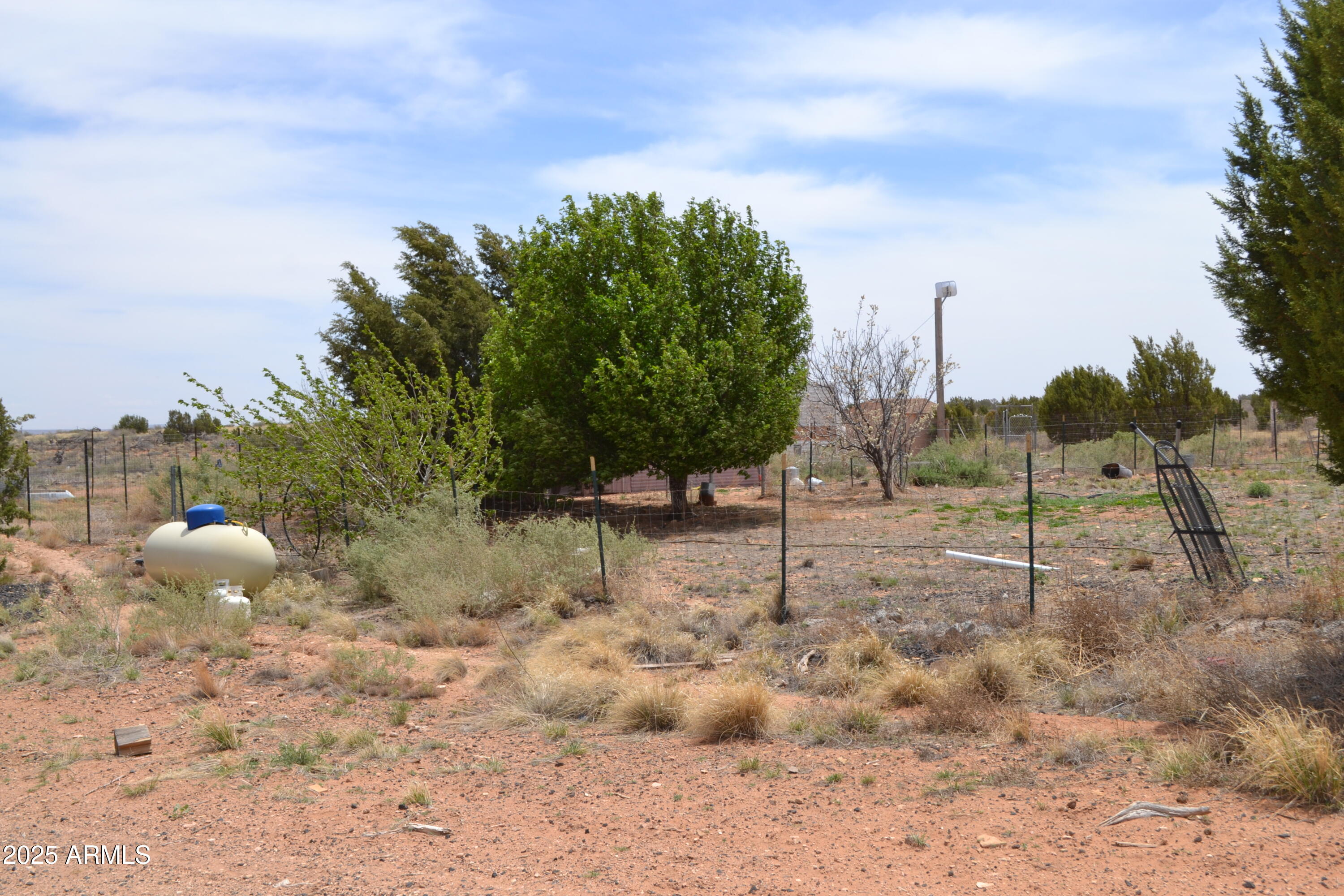2743 Old Woodruff Road Snowflake, AZ 85937 - Photo 43 of 49 DSC_1245