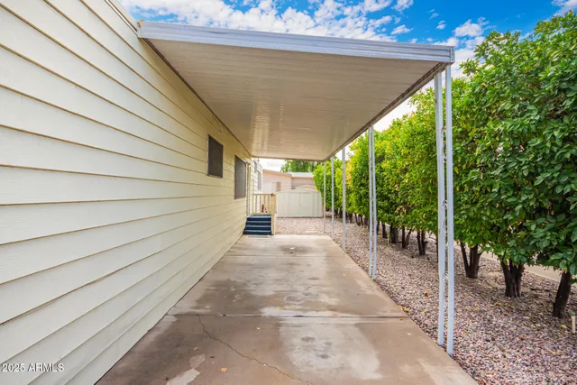 a view of a backyard with plants and large trees