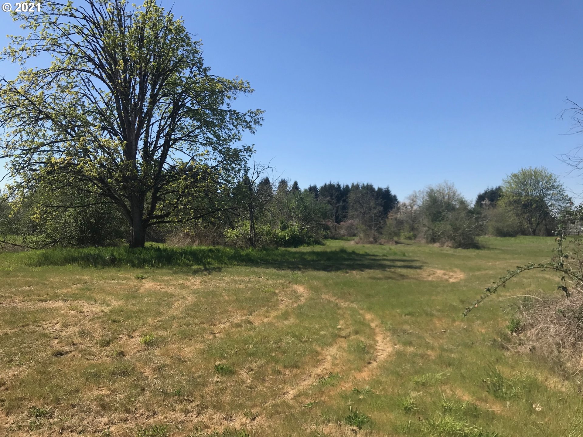 Seavey Loop Road Eugene, OR 97405 - Photo 1 of 13