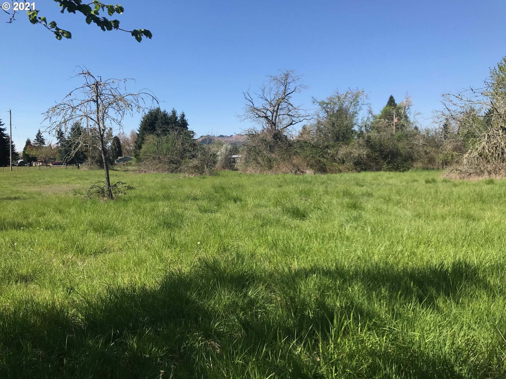 Seavey Loop Road Eugene, OR 97405 - Photo 8 of 13