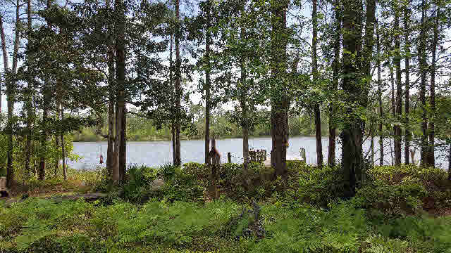 8096 Bay View Drive Foley, AL 36535 - Photo 3 of 17 View from porch
