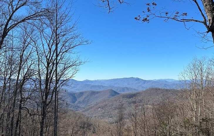 0 East Alarka Road Bryson City, NC 28713 - Photo 9 of 28