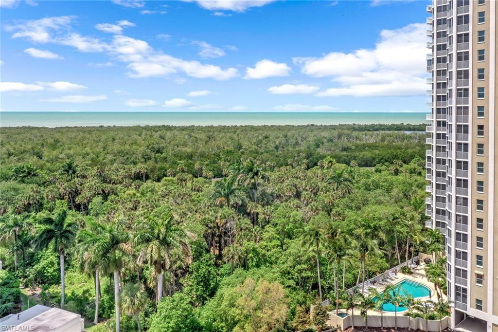 6573 Marissa Loop, Unit 2003 Naples, FL 34108 - Photo 26 of 41 a view of a city with lush green forest