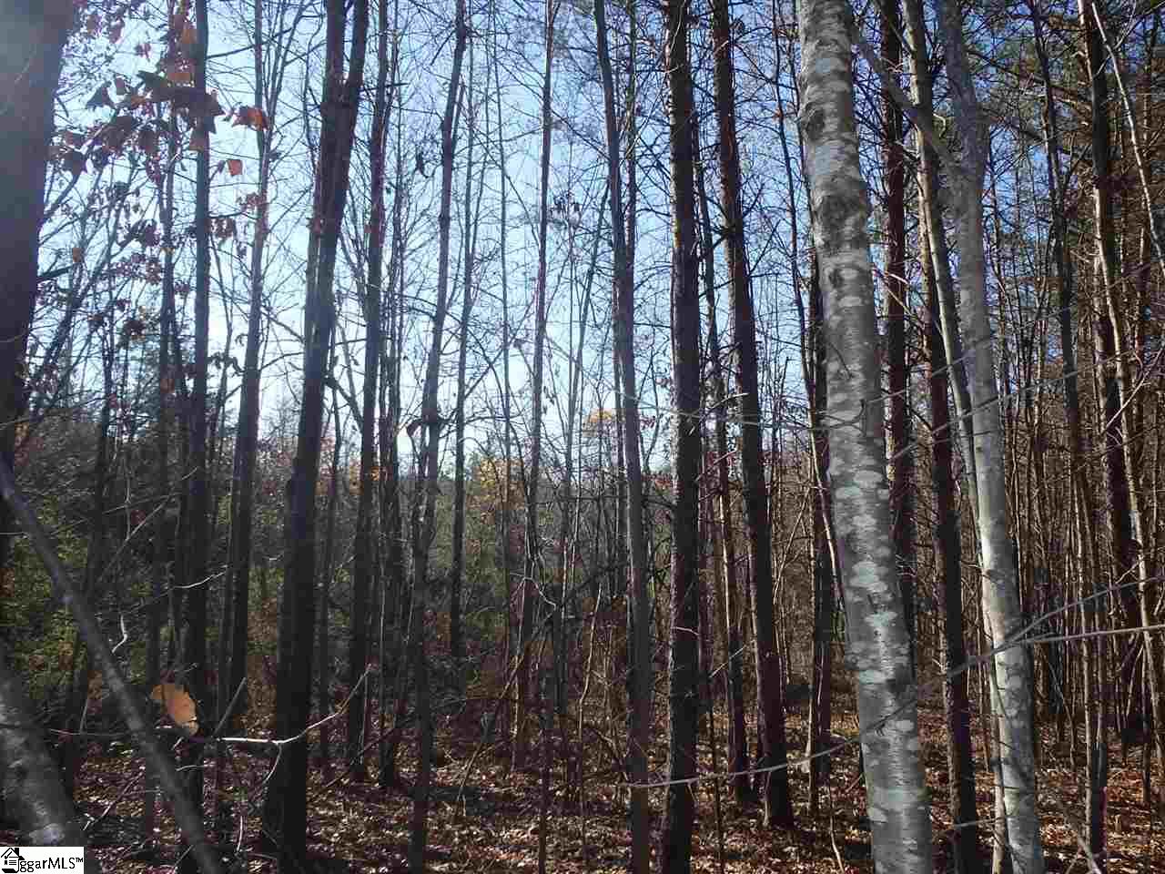 Lockhart Circle Landrum, SC 29356 - Photo 2 of 10 Gallery Image 2