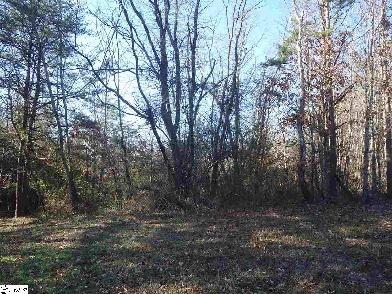 Lockhart Circle Landrum, SC 29356 - Photo 7 of 10 Gallery Image 7