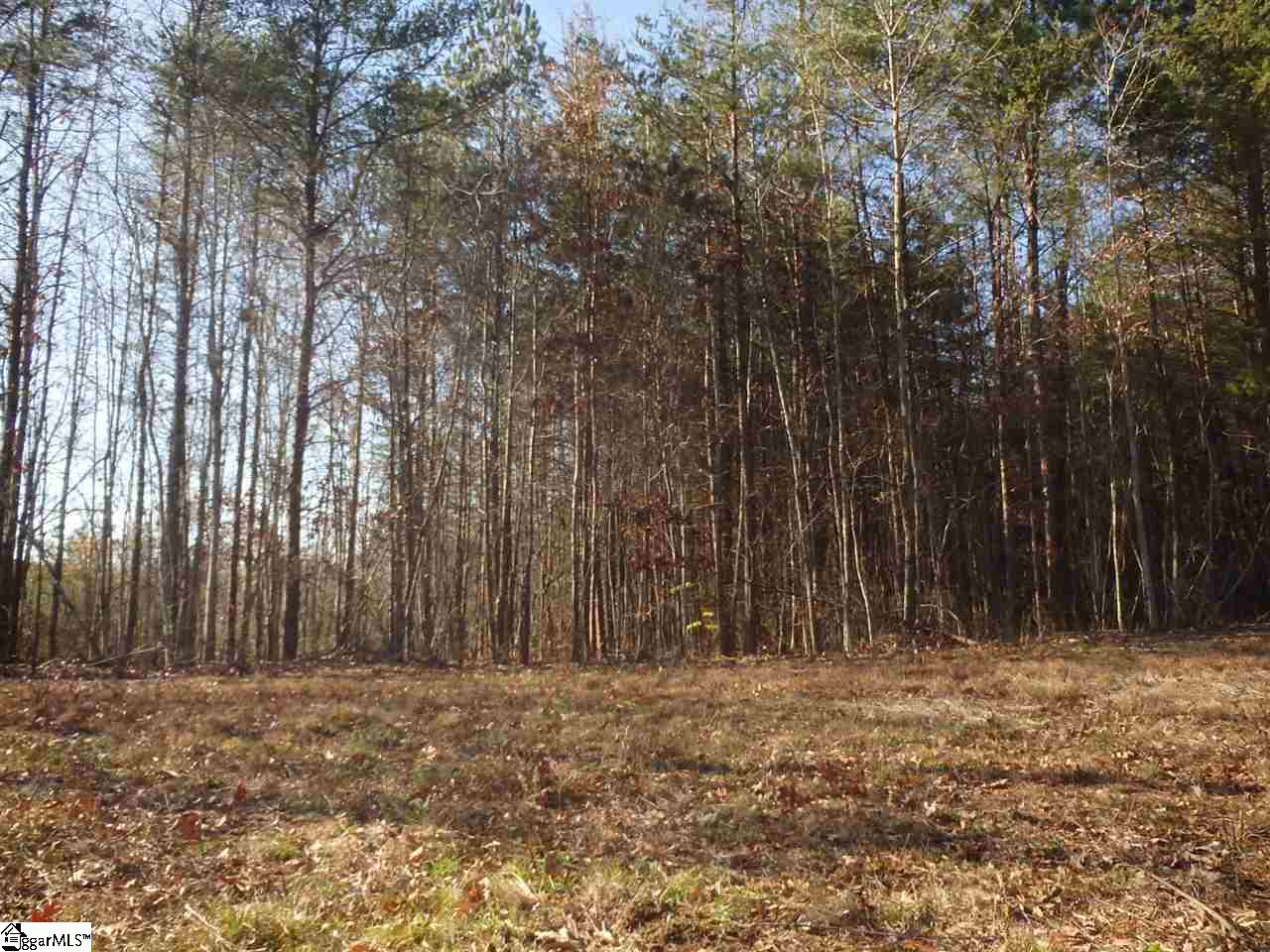 Lockhart Circle Landrum, SC 29356 - Photo 10 of 10 Gallery Image 10