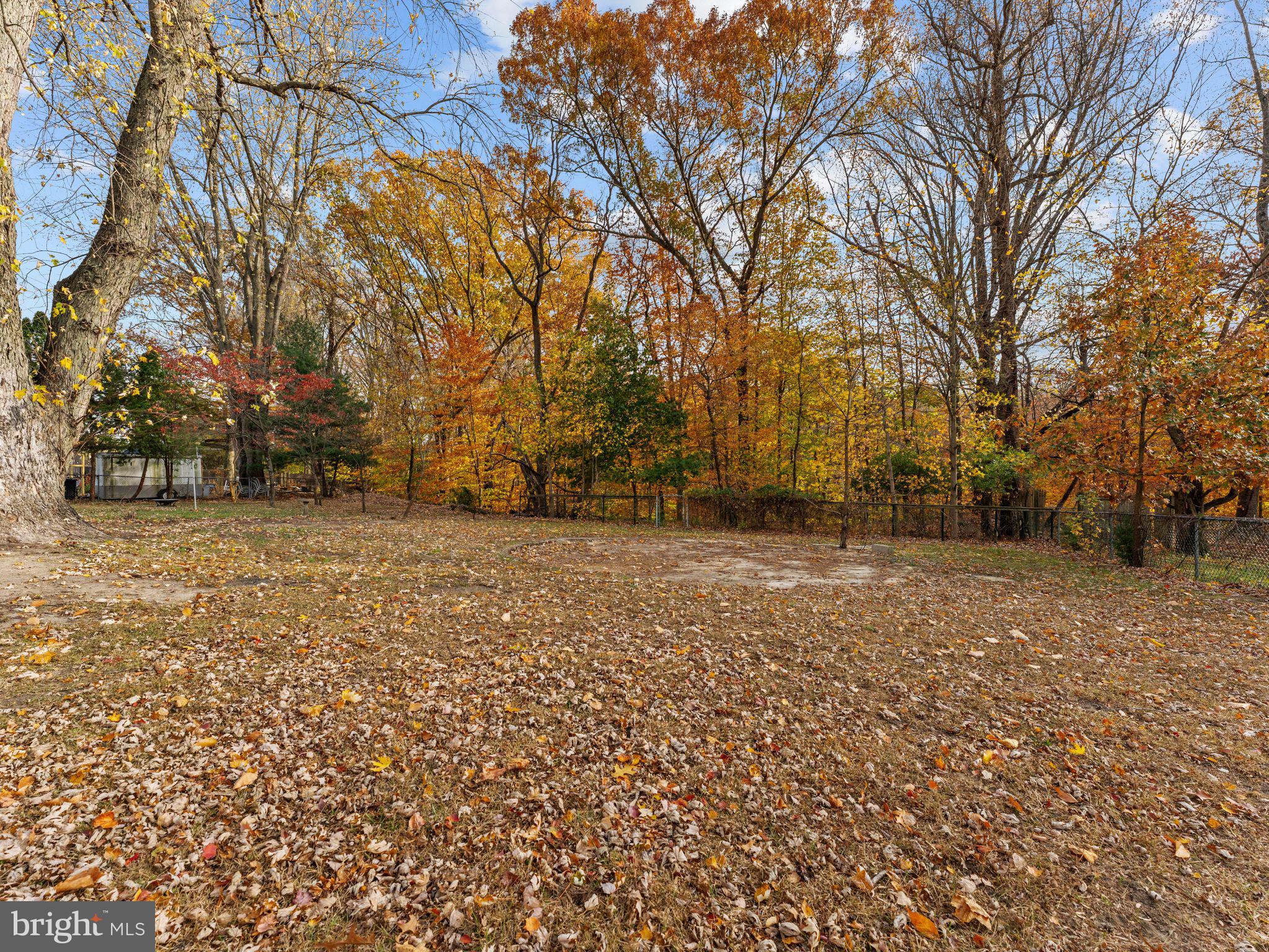 800 Bentley Road Lindenwold, NJ 08021 - Photo 28 of 32 a view of outdoor space with trees