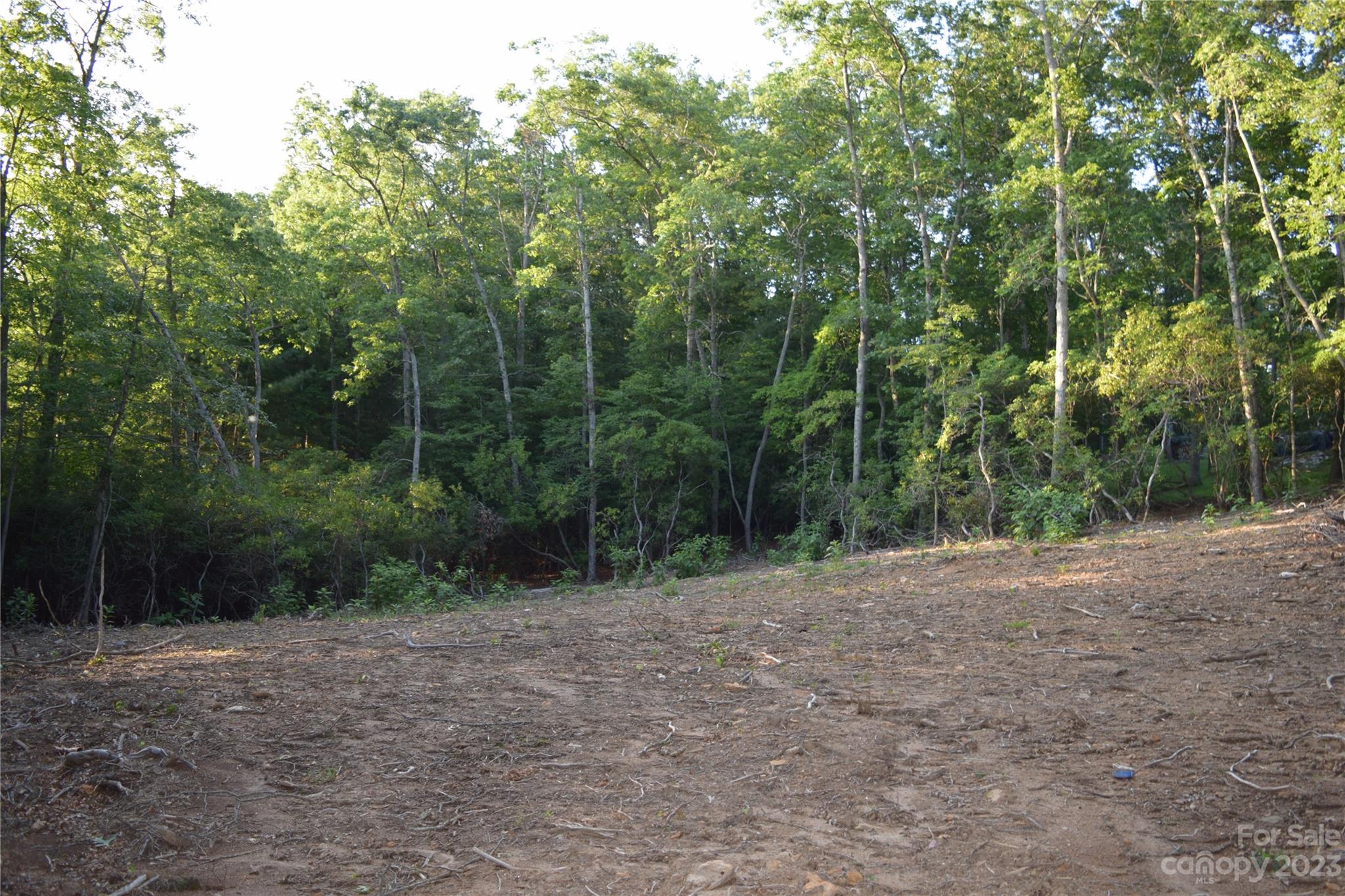 4 Carters Ridge Road Spruce Pine, NC 28777 - Photo 1 of 13 Gallery Image 1