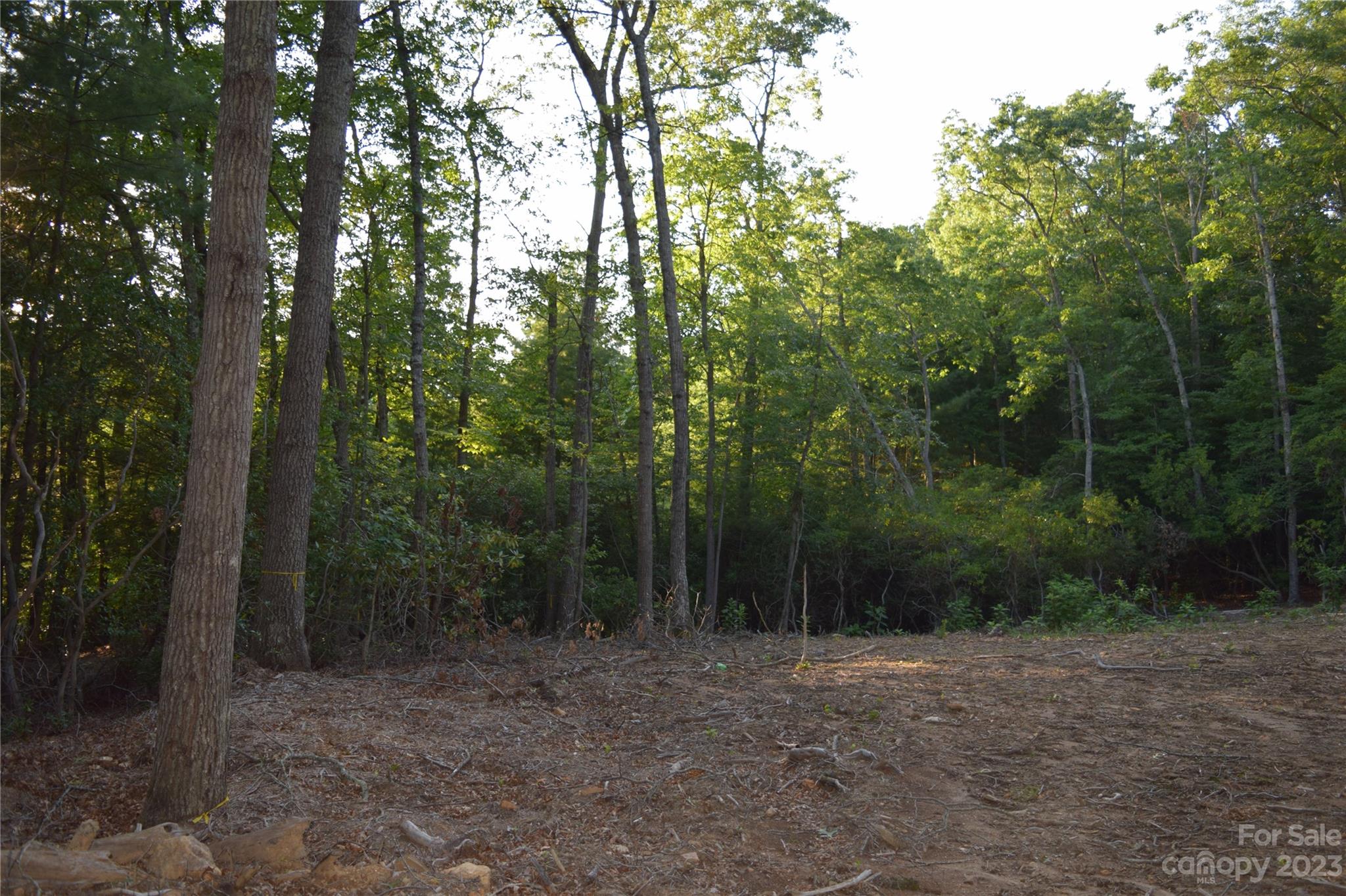 4 Carters Ridge Road Spruce Pine, NC 28777 - Photo 2 of 13 Gallery Image 2