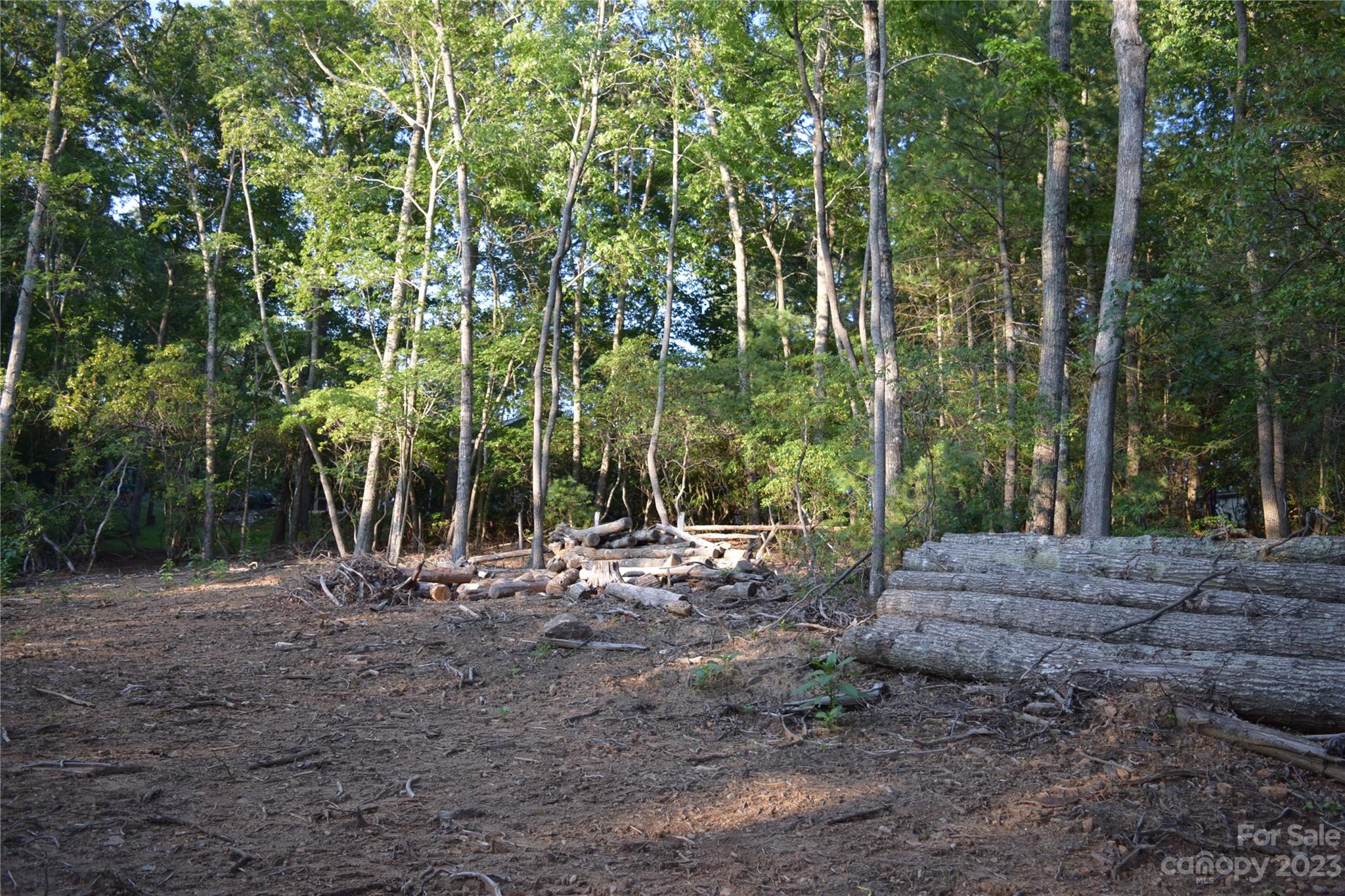 4 Carters Ridge Road Spruce Pine, NC 28777 - Photo 3 of 13 Gallery Image 3