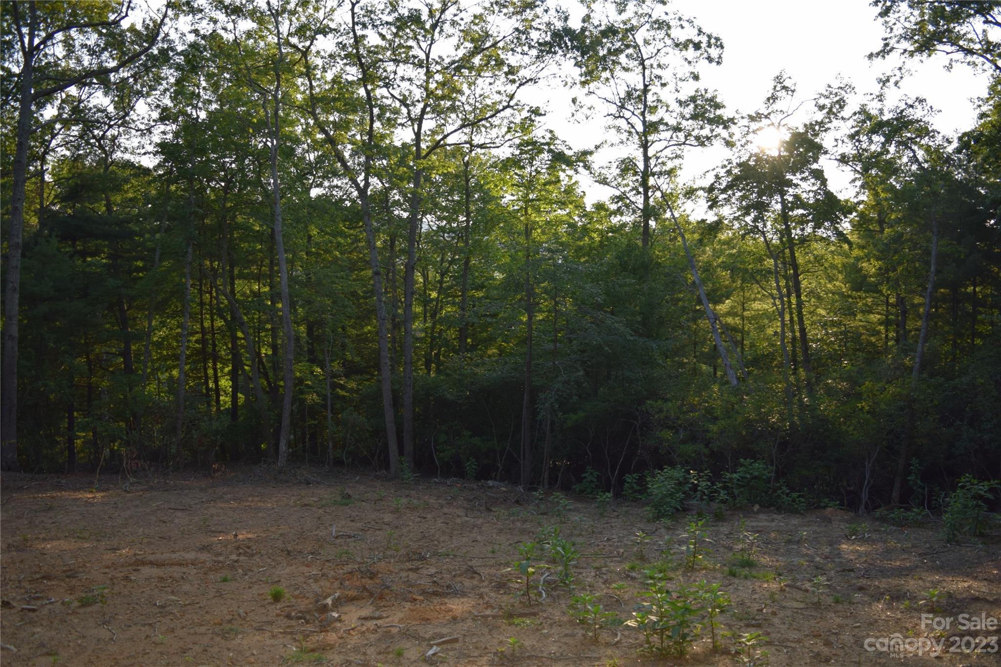 4 Carters Ridge Road Spruce Pine, NC 28777 - Photo 5 of 13 Gallery Image 5