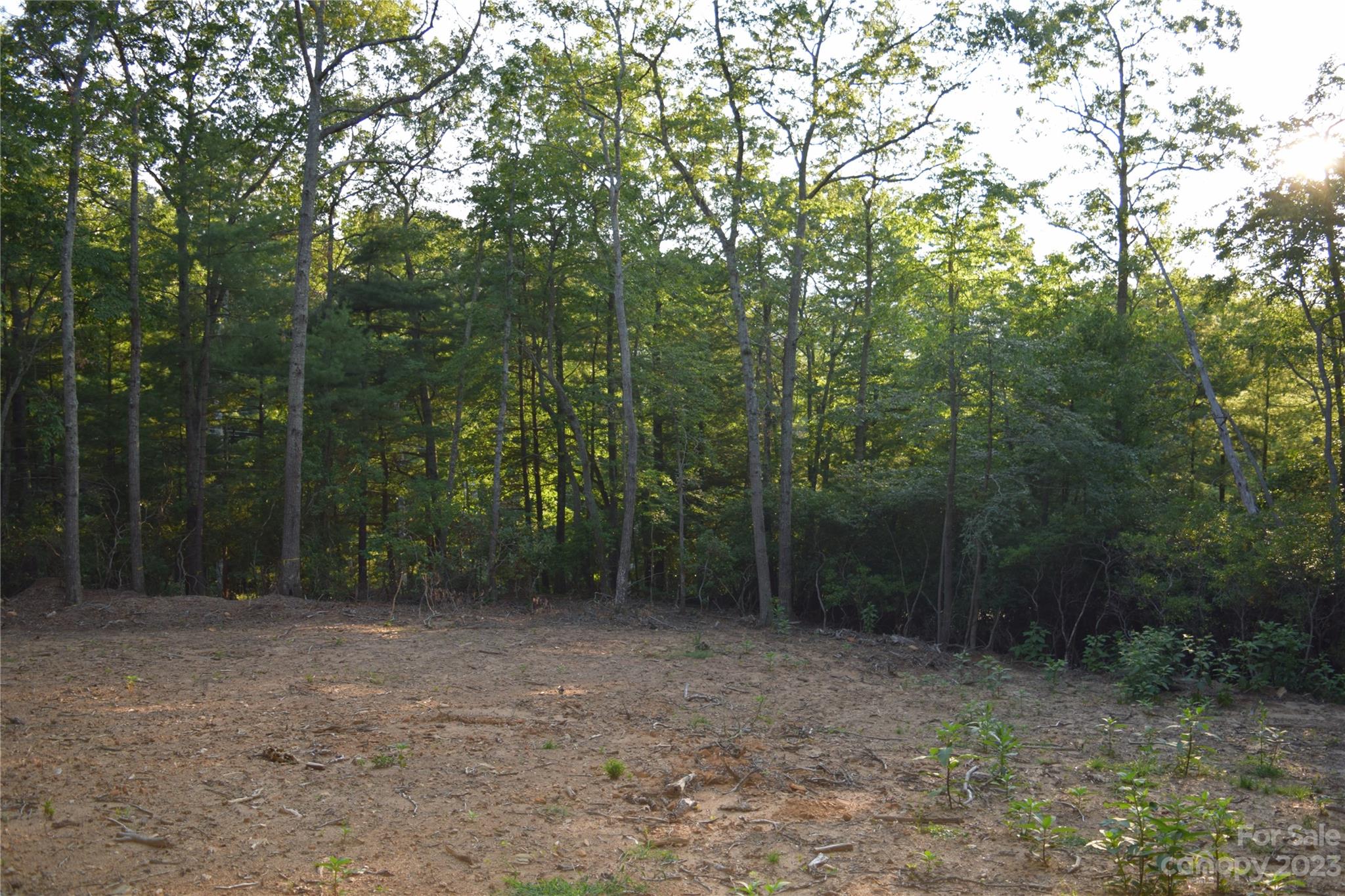 4 Carters Ridge Road Spruce Pine, NC 28777 - Photo 7 of 13 Gallery Image 7