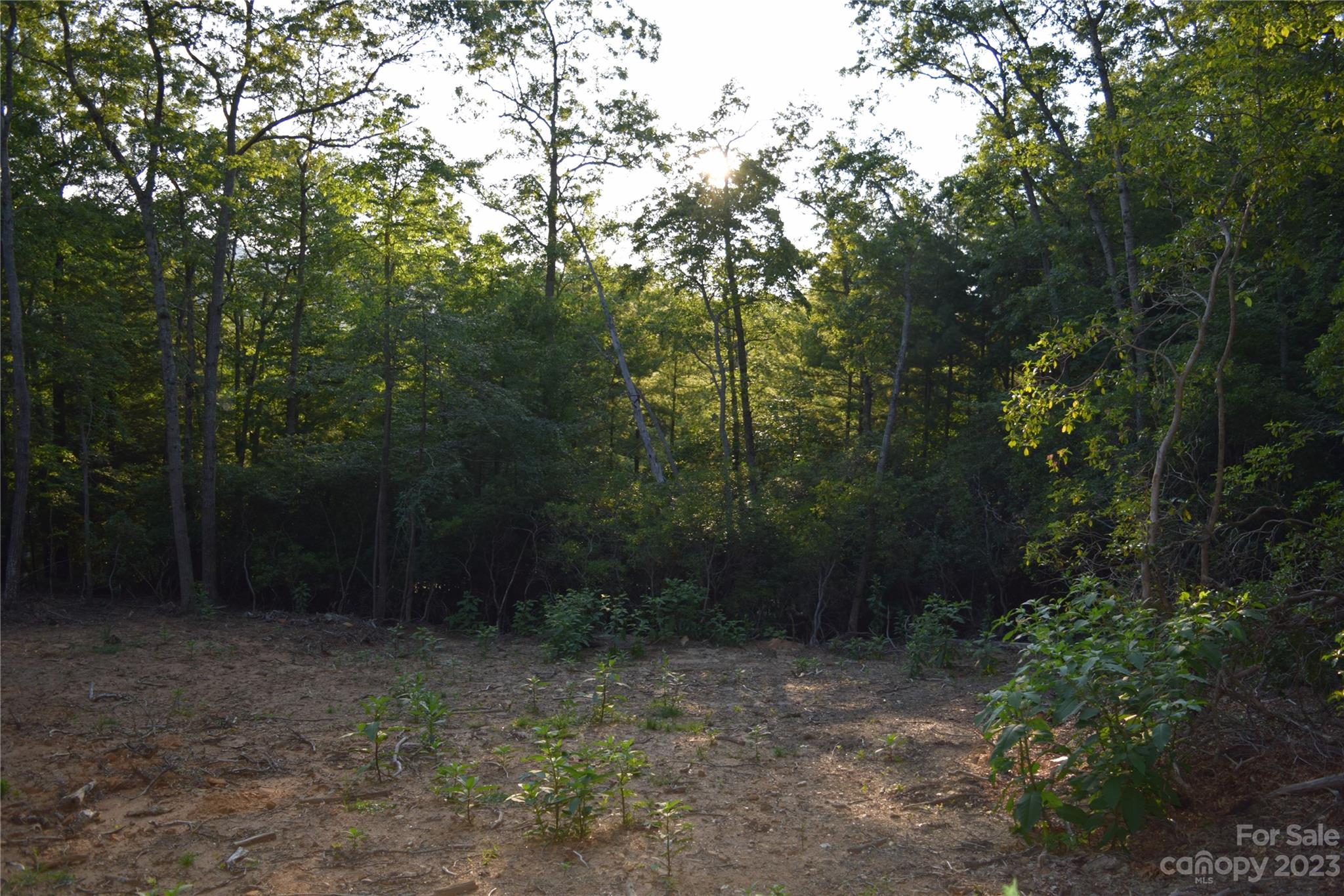 4 Carters Ridge Road Spruce Pine, NC 28777 - Photo 8 of 13 Gallery Image 8