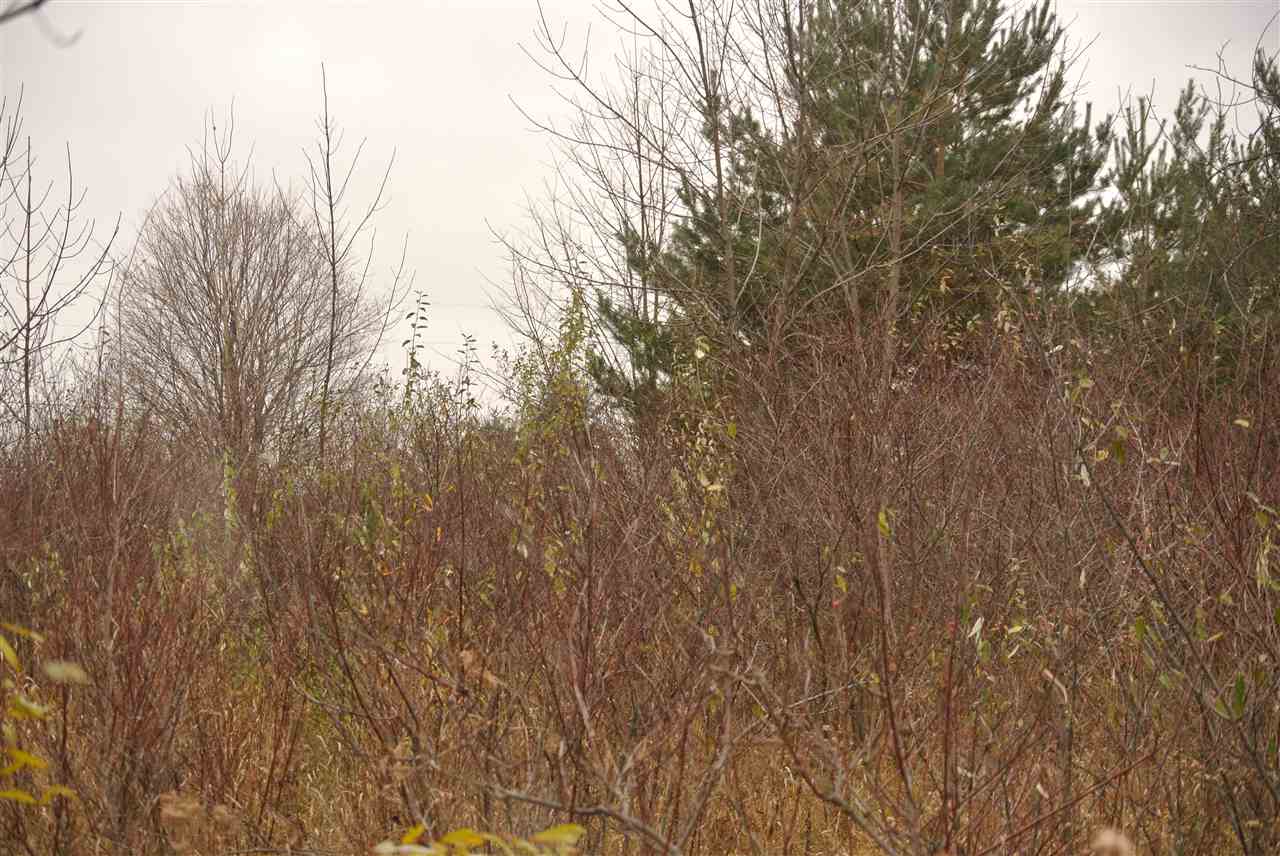 0 Sutter Road, Unit 7 LOT: 7 8 Kewadin, MI 49648 - Photo 5 of 10 Gallery Image 5