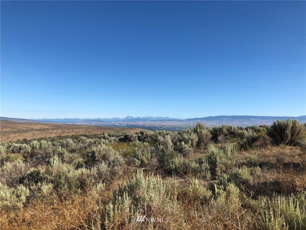 0 Umptanum Road Ellensburg, WA 98926 - Photo 3 of 8 Gallery Image 3