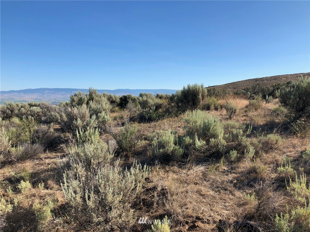 0 Umptanum Road Ellensburg, WA 98926 - Photo 5 of 8 Gallery Image 5