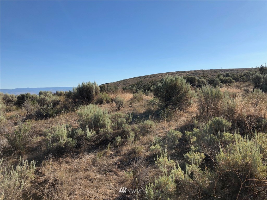 0 Umptanum Road Ellensburg, WA 98926 - Photo 7 of 8 Gallery Image 7