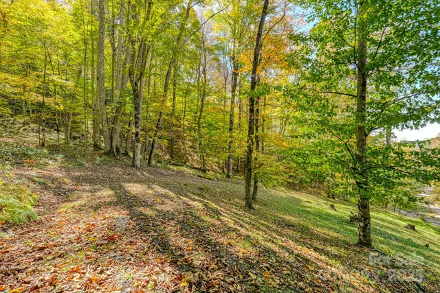 $699,999 | 1495 El Miner Drive, Mars Hill, NC 28754