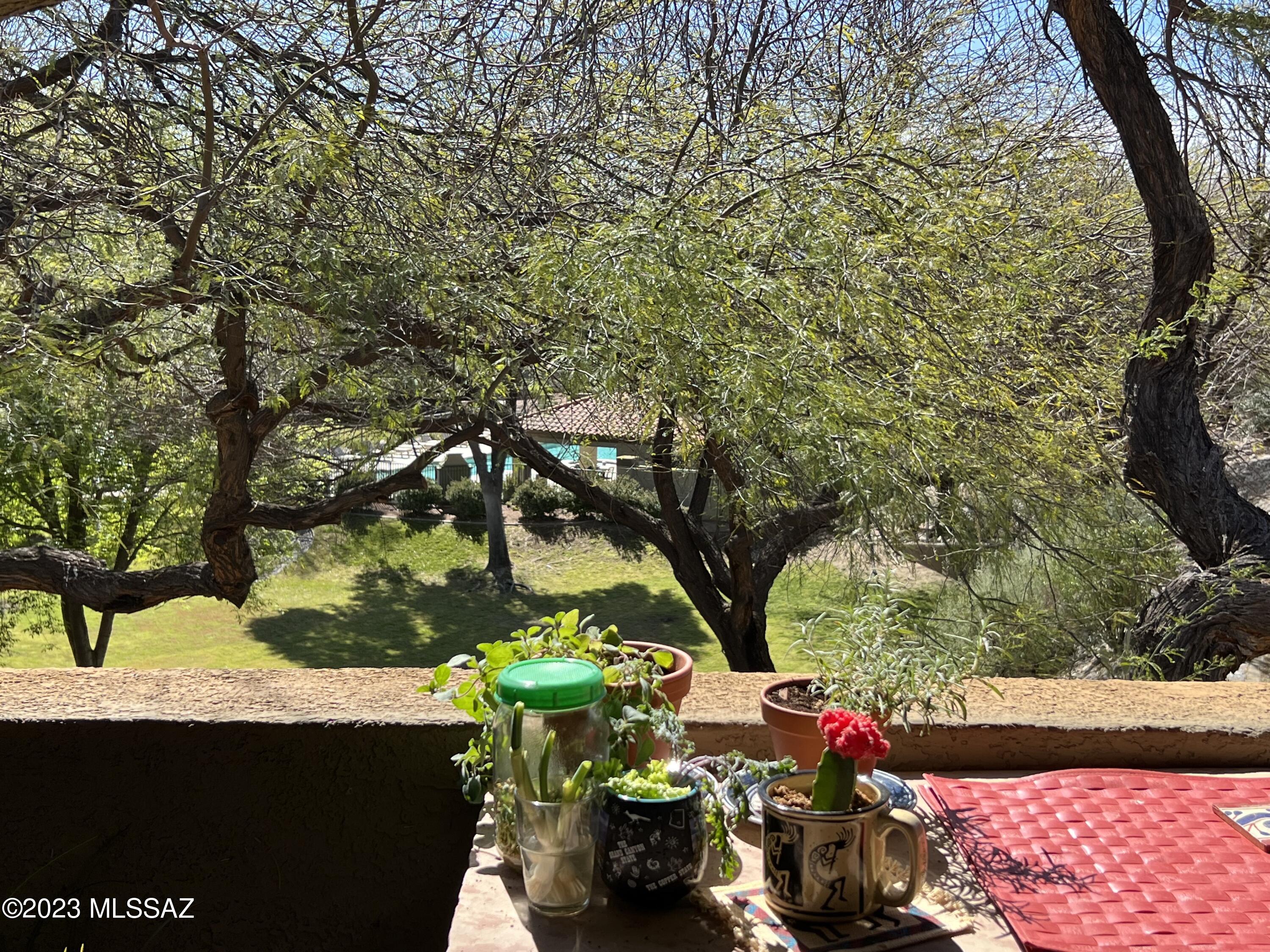 5751 North Kolb Road, Unit 3203 Tucson, AZ 85750 - Photo 13 of 43