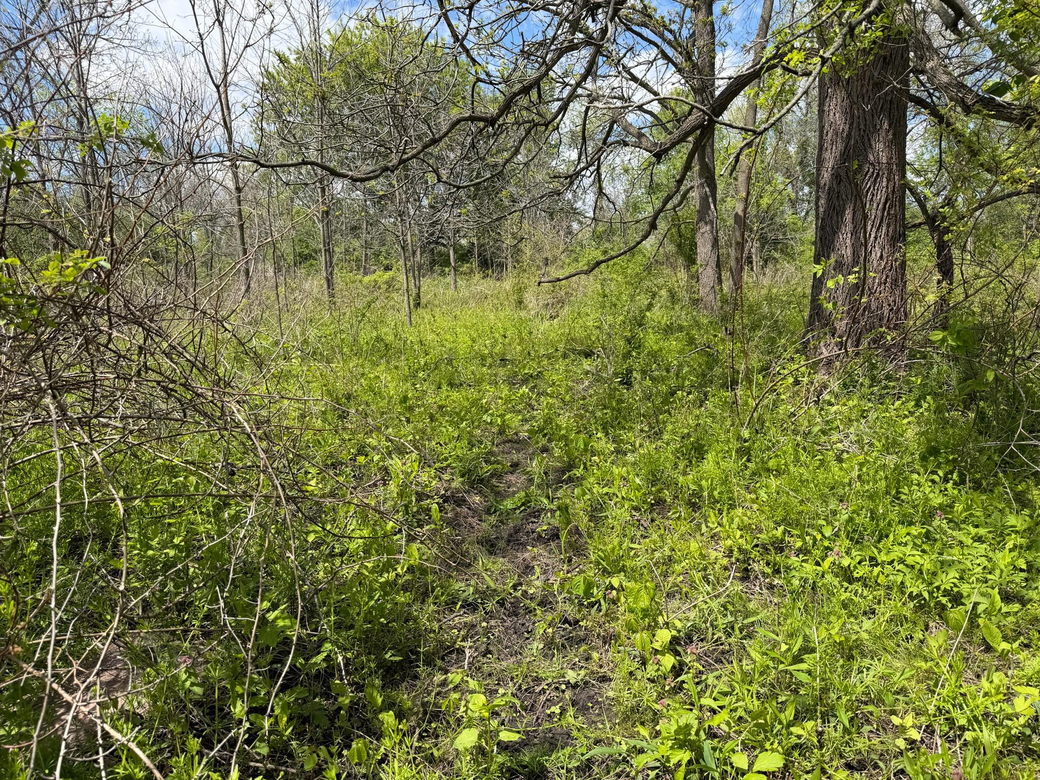 6 Bunkerhill Road Jackson, MI 49201 - Photo 22 of 23 IMG_2343