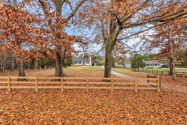 a view of a yard with a tree