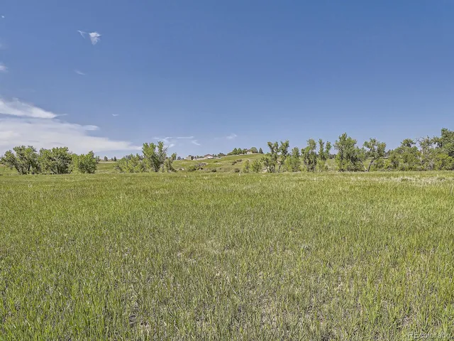 a view of a field with an ocean and mountain in the back