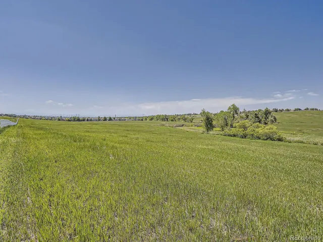 a view of a big yard with a large trees