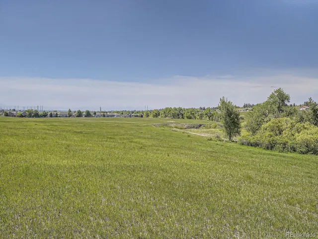 a view of a field with an ocean