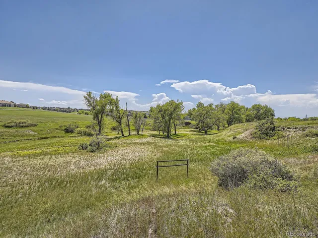 a view of a lush green field